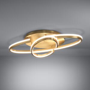 Stars of Light Φωτιστικό οροφής LED Bogado, χρυσό, 75 cm, ρυθμιζόμενη, ρυθμιζόμενος, Χρυσό / Ορείχαλκου, Σαλόνι / τραπεζαρία, Μέταλλο, σύγχρονο