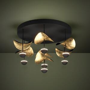 Stars of Light Φωτιστικό οροφής LED Dracera μαύρο/χρυσό Ø 51 cm, ρυθμιζόμενος, Μαύρο, Σαλόνι / τραπεζαρία, Μέταλλο, σύγχρονο