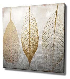 Πίνακες Wallity Decorative Canvas Painting - KC098