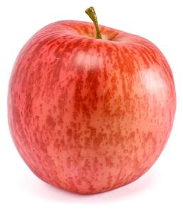 Διακοσμητικό Φρούτο (Φ9x8) Emerald Apple Red 433315