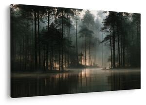 Πίνακας σε καμβά ομιχλώδες δάσος πάνω από τη λίμνη