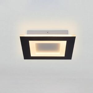 Searchlight Φωτιστικό οροφής LED Squary, μήκος 25 cm, μαύρο/λευκό σίδερο, CCT, ρυθμιζόμενος, Μαύρο, Σαλόνι / τραπεζαρία, Μέταλλο, σύγχρονο