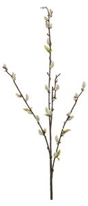 Τεχνητό Κλαδί 78εκ. Emerald Pussy Willow Cream 436140