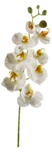 Τεχνητό Λουλούδι 68κ. Emerald Phalaenopsis White 418530