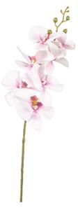 Τεχνητό Λουλούδι 84κ. Emerald Phalaenopsis Pink 433652