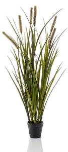 Τεχνητό Φυτό Σε Γλάστρα 85εκ. Emerald Grass Cattail 428312