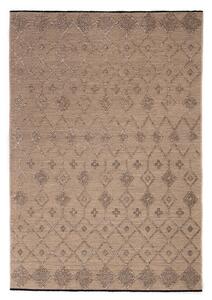 Χαλί All Season (160x230) Royal Carpet Gloria Cotton 35 Mink