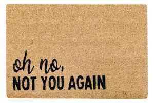 Πατάκι Εισόδου (40x60) Pol Rugs & Mats Ibiza Not You