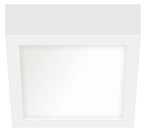 Πλαφονιέρα Φωτιστικό Οροφής LED SMD 6W 4000K Λευκό Epistar 5242 Spotlight 5242 Λευκό