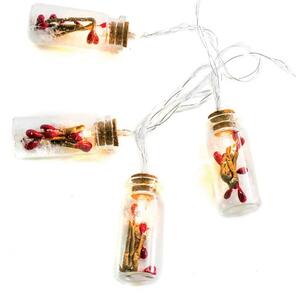 Χριστουγεννιάτικα Λαμπάκια 10 LED MINI GLASS BOTTLE XI10WW2A ACA XI10WW2A Κόκκινο