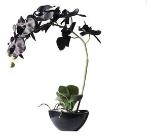 Τεχνητό Φυτό Ορχιδέα Phalaenopsis Real Touch Μαύρη με Κασπώ 48 εκ. 1170-6 Supergreens 1170-6 Μαύρο