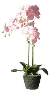 Τεχνητό Φυτό Ορχιδέα Phalaenopsis Real Touch Ροζ με Βάση Moss 85 εκ. 4170-6 Supergreens 4170-6 Ροζ