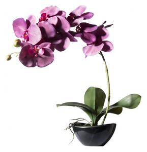 Τεχνητό Φυτό Ορχιδέα Phalaenopsis Real Touch Μωβ με Κασπώ 48 εκ. 2170-6 Supergreens 2170-6 Μωβ