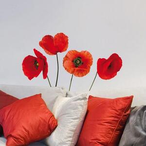 Αυτοκόλλητα Τοίχου Βινυλίου Poppies 54101 Ango 54101