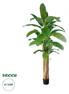 Artificial Garden BANANA TREE 20019 Τεχνητό Διακοσμητικό Φυτό Μπανανιά - Μπανανόδεντρο Υ280cm Globostar 20019 Πράσινο