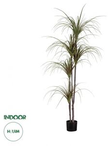 Artificial Garden DRAGON BLOOD TREE 20016 Τεχνητό Διακοσμητικό Φυτό Δράκαινα Υ180cm Globostar 20016 Πράσινο