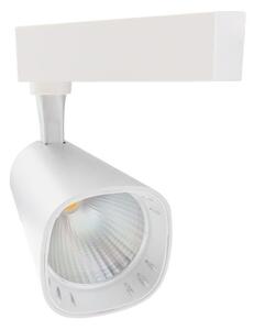 Σποτ Ράγας LED COB 30W 3000K Μονοφασικό Φ8 Epistar Spotlight 6454 Λευκό