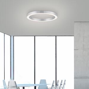PURE LED φωτιστικό οροφής Lines, Ø 50 cm, ασημί, CCT, ρυθμιζόμενος, Γκρι, Σαλόνι / τραπεζαρία, Μέταλλο, σύγχρονο