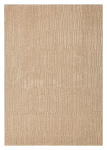 Χαλί (160x230) Tzikas Carpets Tampa 55002-070