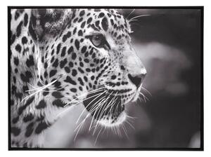Πίνακας atmosphera Leopard, 58x58 cm