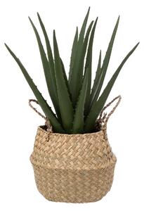 Τεχνητό φυτό atmosphera Aloe Vera, 37 cm