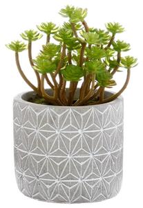 Τεχνητό φυτό atmosphera Succulent, 17 εκ., διάφορα σχέδια