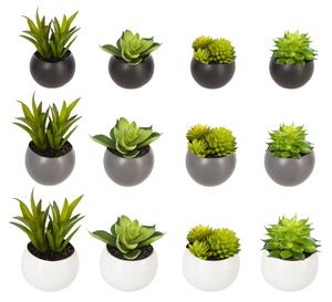 Τεχνητό φυτό atmosphera Succulent, 6 εκ., διάφορα σχέδια
