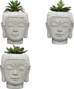 Τεχνητό φυτό atmosphera Buddha, 13.5 εκ., διάφορα σχέδια