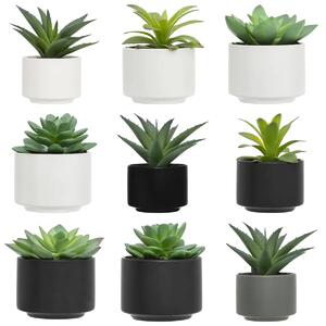 Τεχνητό φυτό atmosphera Succulent, 13 εκ., διάφορα σχέδια