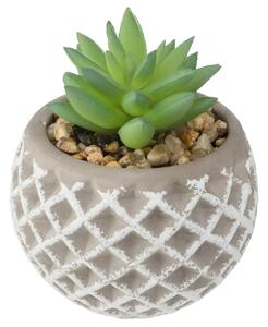 Τεχνητό φυτό atmosphera Succulent, 9 εκ., διάφορα σχέδια
