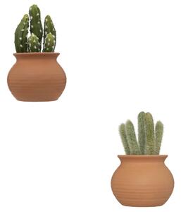 Τεχνητό φυτό atmosphera Cactus Ali, 16.5 εκ., διάφορα σχέδια