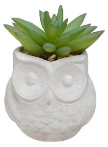 Τεχνητό φυτό atmosphera Succulent, 8 εκ., διάφορα σχέδια