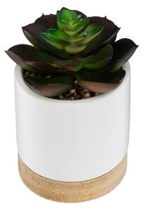 Τεχνητό φυτό atmosphera Succulent, 12 εκ., διάφορα σχέδια