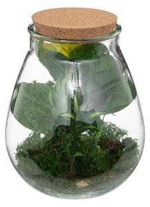 Τεχνητό φυτό atmosphera Botanic Terrarium, 29.5 εκ
