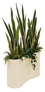 Τεχνητό φυτό atmosphera Sansevieria Sky, 163 εκ