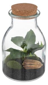 Τεχνητό φυτό atmosphera Botanic Terrarium, 19.5 εκ