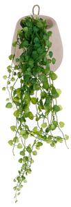 Τεχνητό φυτό atmosphera Hanging Ivy, 62 εκ