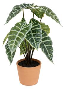 Τεχνητό φυτό atmosphera Soleya Alocasia, 43 εκ
