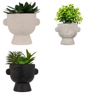 Τεχνητό φυτό atmosphera Dusty Succulent, 22 εκ., διάφορα σχέδια