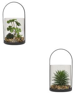 Τεχνητό φυτό atmosphera Wilo Hanging Terrarium, 19 εκ., διάφορα σχέδια