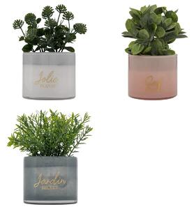 Τεχνητό φυτό atmosphera Tayli Succulent, 18 εκ., διάφορα σχέδια