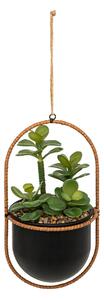 Τεχνητό φυτό atmosphera Tyla Hanging, 31 εκ