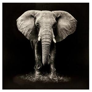 Πίνακας atmosphera Elephant, τύπωμα σε καμβά, 100 x 100 εκ