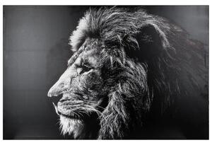 Πίνακας atmosphera Lion, τύπωμα σε καμβά, 78 x 118 εκ