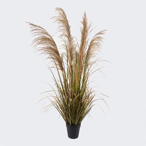 Διακοσμητικό φυτό με γλάστρα Bulrush Πράσινο 65x65x120 cm