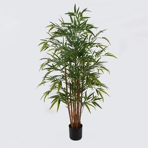 Διακοσμητικό φυτό με γλάστρα Rhapis Palm Πράσινο 80x80x180 cm