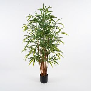 Διακοσμητικό φυτό Rhapis Palm Πράσινο 60x60x120 cm
