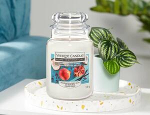 Αρωματικό Κερί Yankee Candle με διάρκεια καύσης έως 125 ώρες και άρωμα Pomegranate Coconut