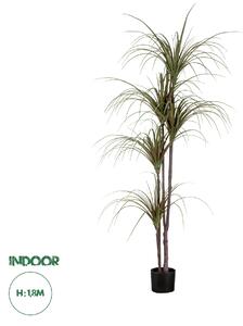 GloboStar® Artificial Garden DRAGON BLOOD TREE 20016 - Τεχνητό Διακοσμητικό Φυτό Δράκαινα Υ180cm