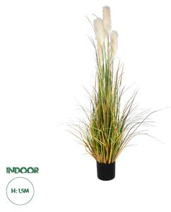 GloboStar® Artificial Garden PAMPAS GRASS 20108 Τεχνητό Διακοσμητικό Φυτό Γρασίδι της Πάμπας Υ150cm